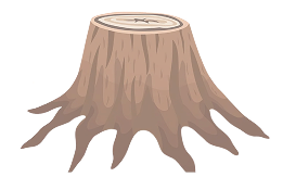 Monkeyman’s Tree Service Portland