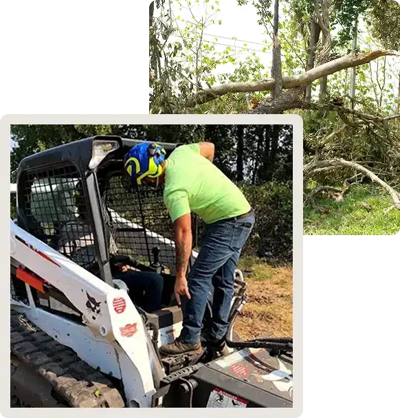 brush removal near me