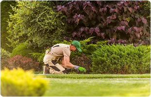 landscaping services near me
