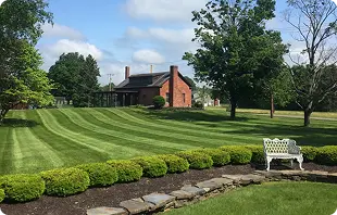 landscaping and maintenance