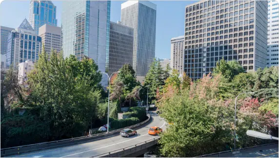 Emergency Tree Service Portland