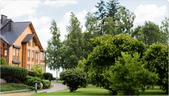 Emergency Tree Service Portland