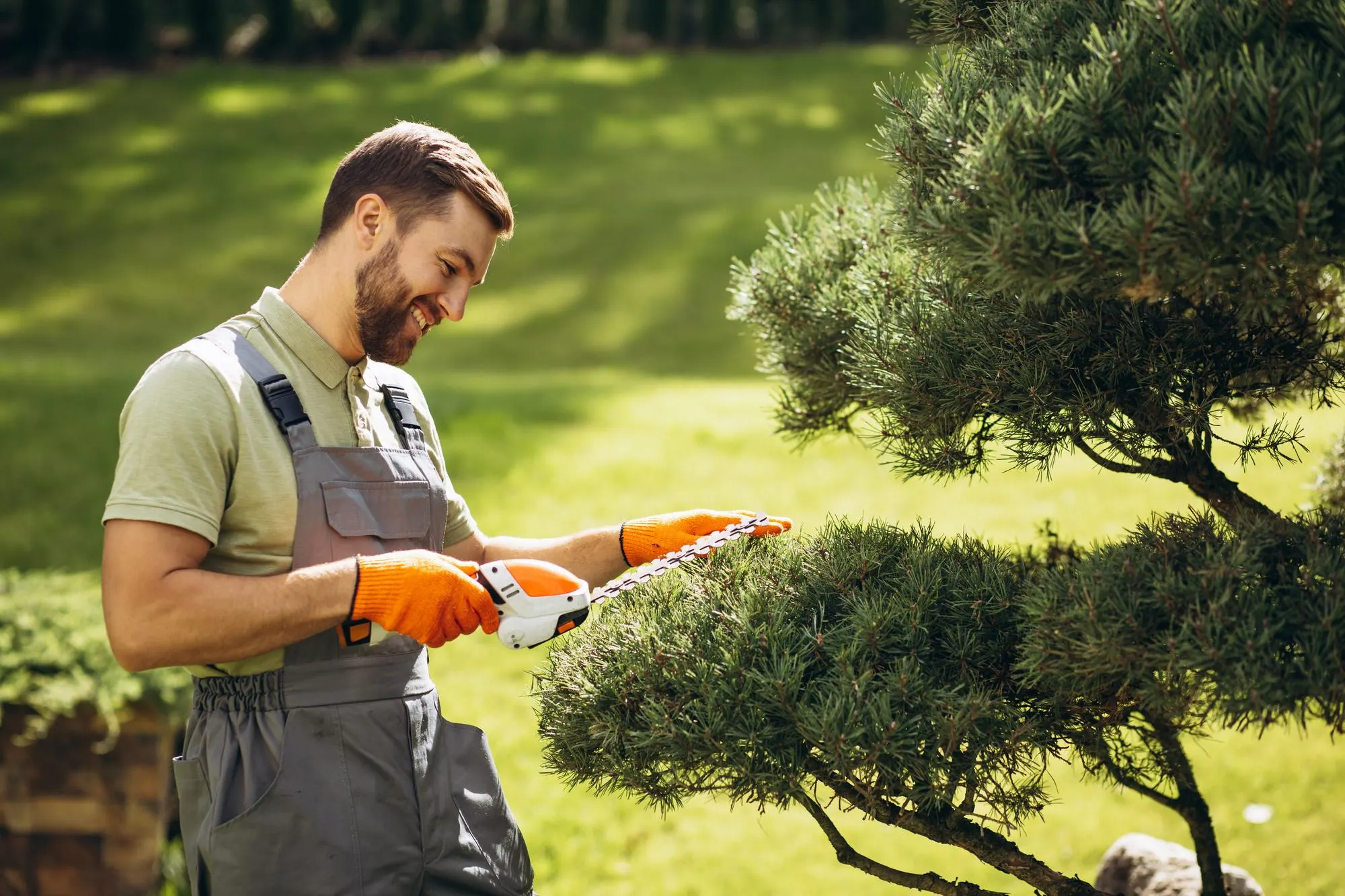 tree pruning and trimming