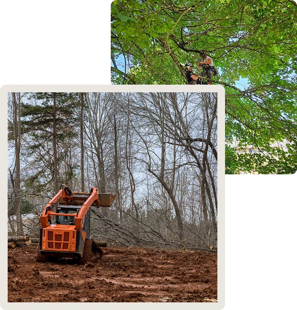 land clearing services portland or