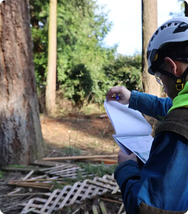 Monkeyman’s Tree Service Portland